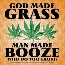 GOD MADE GRASS dekorációs tapéták