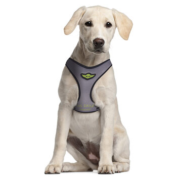 Dog harness  Star Wars: The Mandalorian