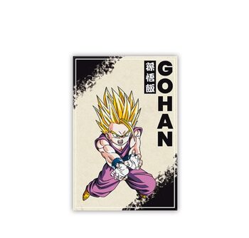Aimant Dragon Ball - BZ/Gohan