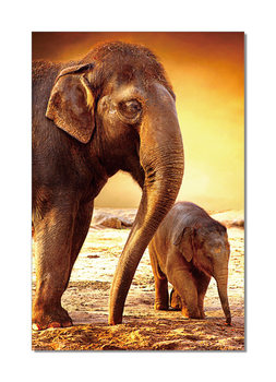 Cuadro  Elephants - Mom and Baby