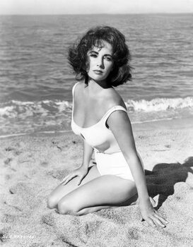 Samolepka Elizabeth Taylor