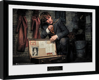 Framed Poster Fantastic Beasts 2 - Newt Suitcase