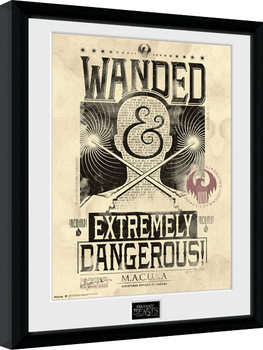 Indrammet plakat Fantastic Beasts And Where To Find Them - Wanded