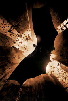 T-shirt Batman Begins, 2005