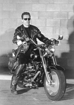 Canvas Print Terminator 2