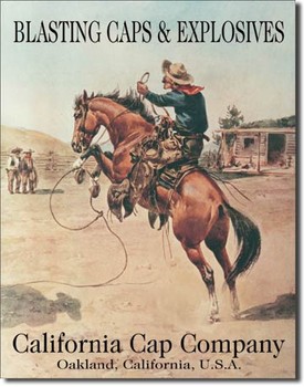 Fém tábla CALIFORNIA CAP