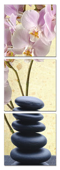 Feng shui - the stones Modern tavla