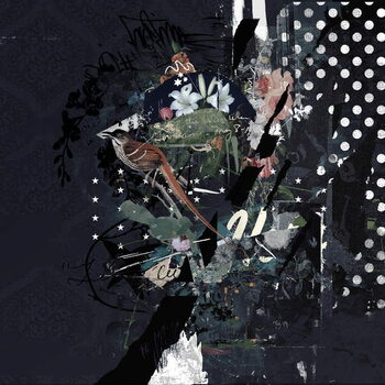 Obraz na plátně Floralbirds, 2017