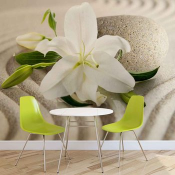 Ταπετσαρία τοιχογραφία  Flower Sand