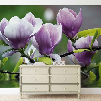 Ταπετσαρία τοιχογραφία  Flowers Magnolia Water