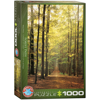 Puzzle Forest Path