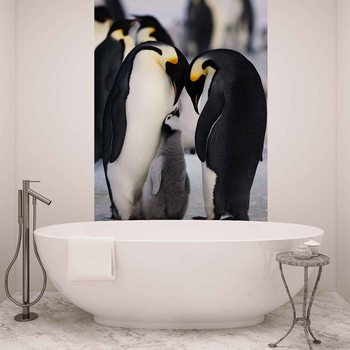 Animals Penguin Fotobehang