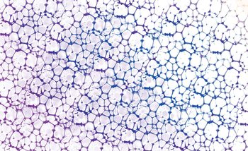 Bubbles Abstract Fotobehang