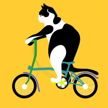 Fotobehang Cat on a Brompton Bike