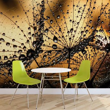 Dandelion Fotobehang