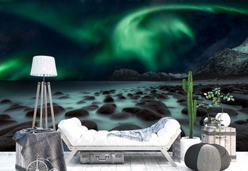 Dragon'S Fly Fotobehang