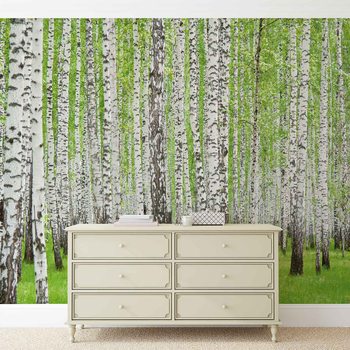 Forest and Woods Fotobehang