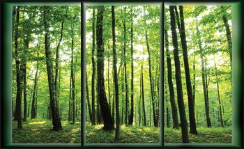 Forest Trees Green Nature Fotobehang