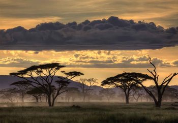 Good Evening Tanzania Fotobehang