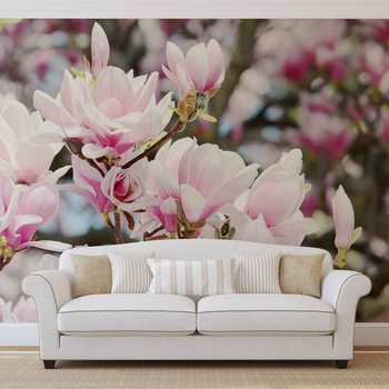 Magnolia Flowers Fotobehang
