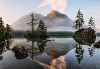 Nature's Awakening Fotobehang