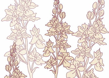 Behang Orchid, 2017,