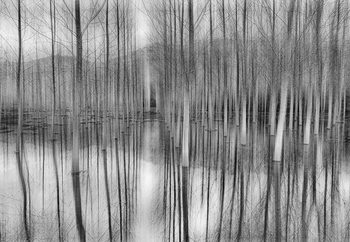 Reflections Fotobehang