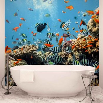 Sea Ocean Fish Corals Fotobehang