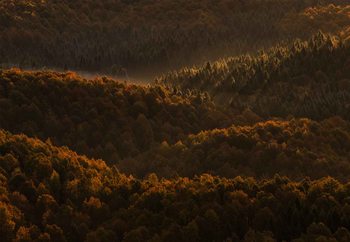 Small Details Makes The Difference Fotobehang