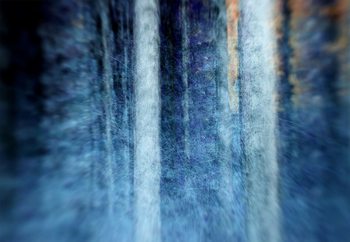 The Forest Fotobehang