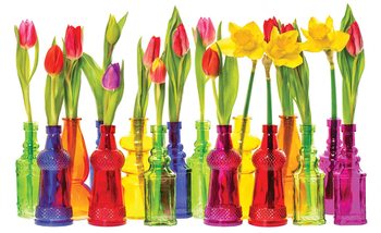 Tulips in Bottles Fotobehang