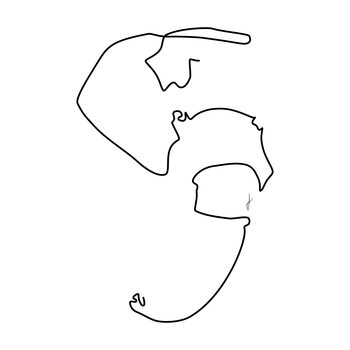 Ilustracja Elefante