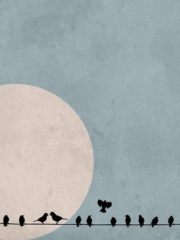 Ilustracja moonbird4