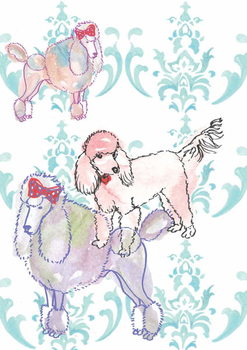 Reprodukcja Poodles, 2013