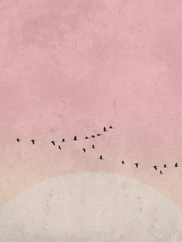 Illustrazione moonbird5