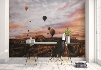 Fotomural Cappodocia Hot Air Balloon