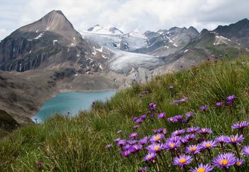 Fotomural  Color Between Mountains