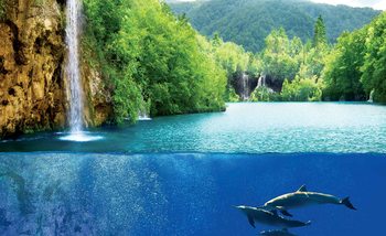 Fotomural Delfines de la naturaleza del mar de la cascada