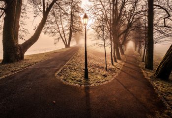 Fotomural  Double Path