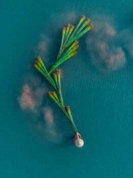 Fotomural Drone shot looking down on a