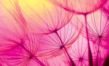 Fotomural  Flor diente de león