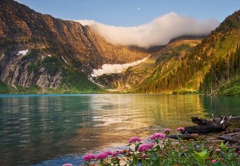 Fotomural  Fresh Start