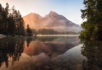 Fotomural  Glowing Mist
