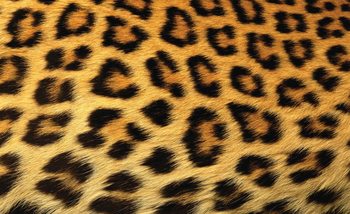 Fotomural  Leopardo