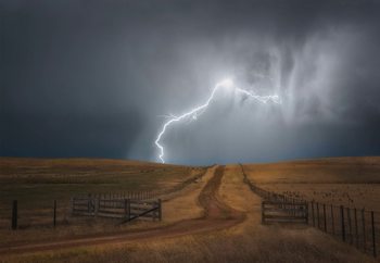 Fotomural  Midlands Mayhem