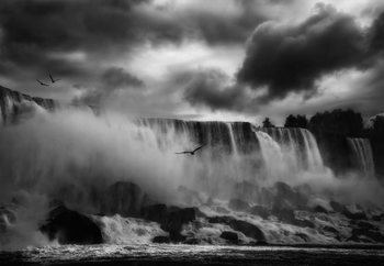 Fotomurale  Powerful Splendor