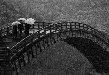 Fotomural Rainy Walk