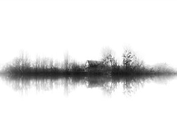 Fotomural Silence