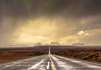 Fotomural  Strom In Monument Valley