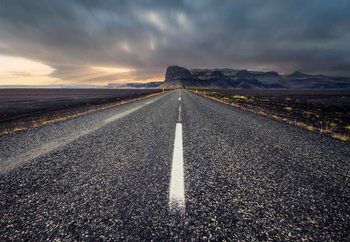 Fotomurale  The Road